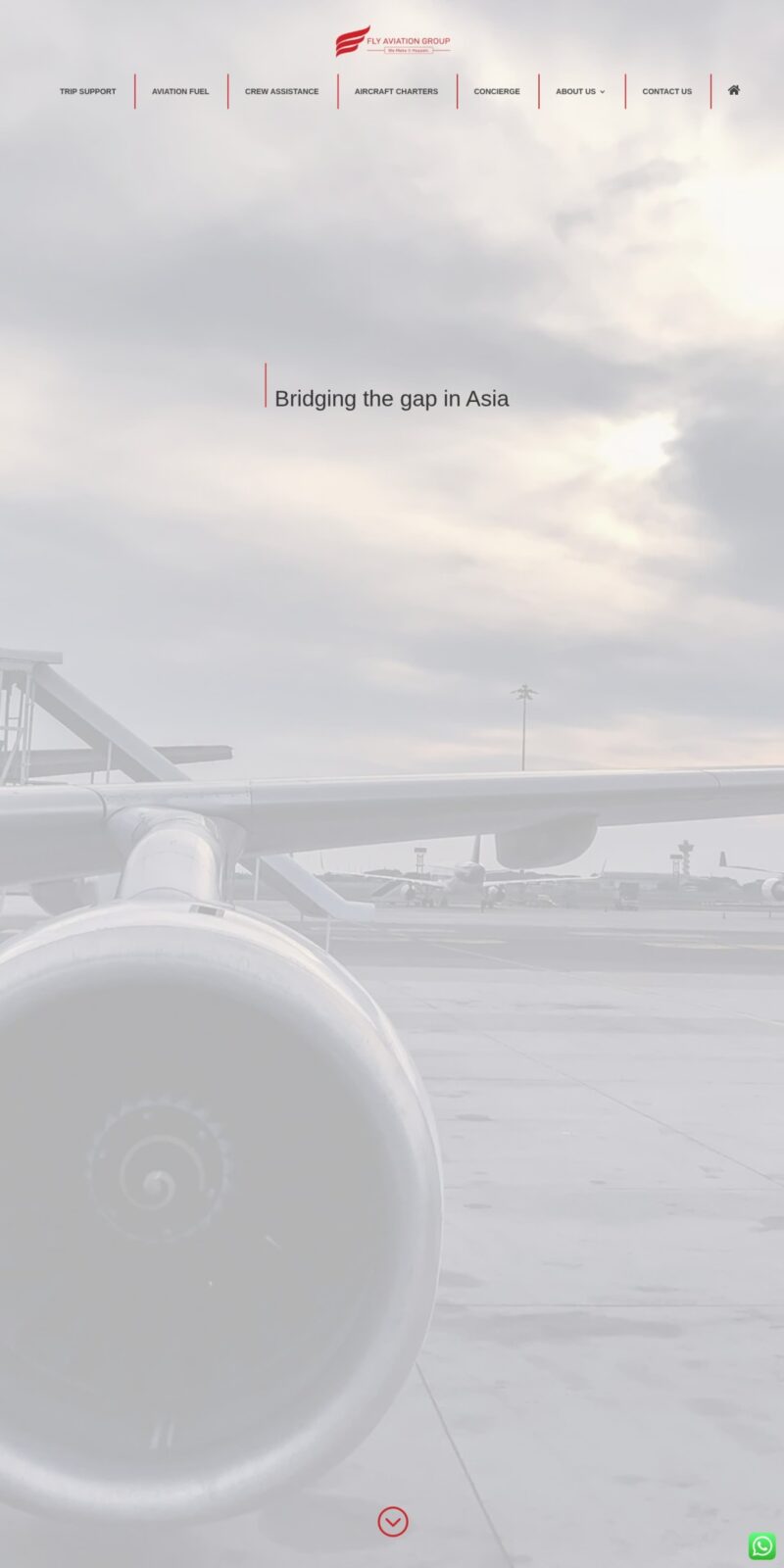 Fly Aviation website screenshot