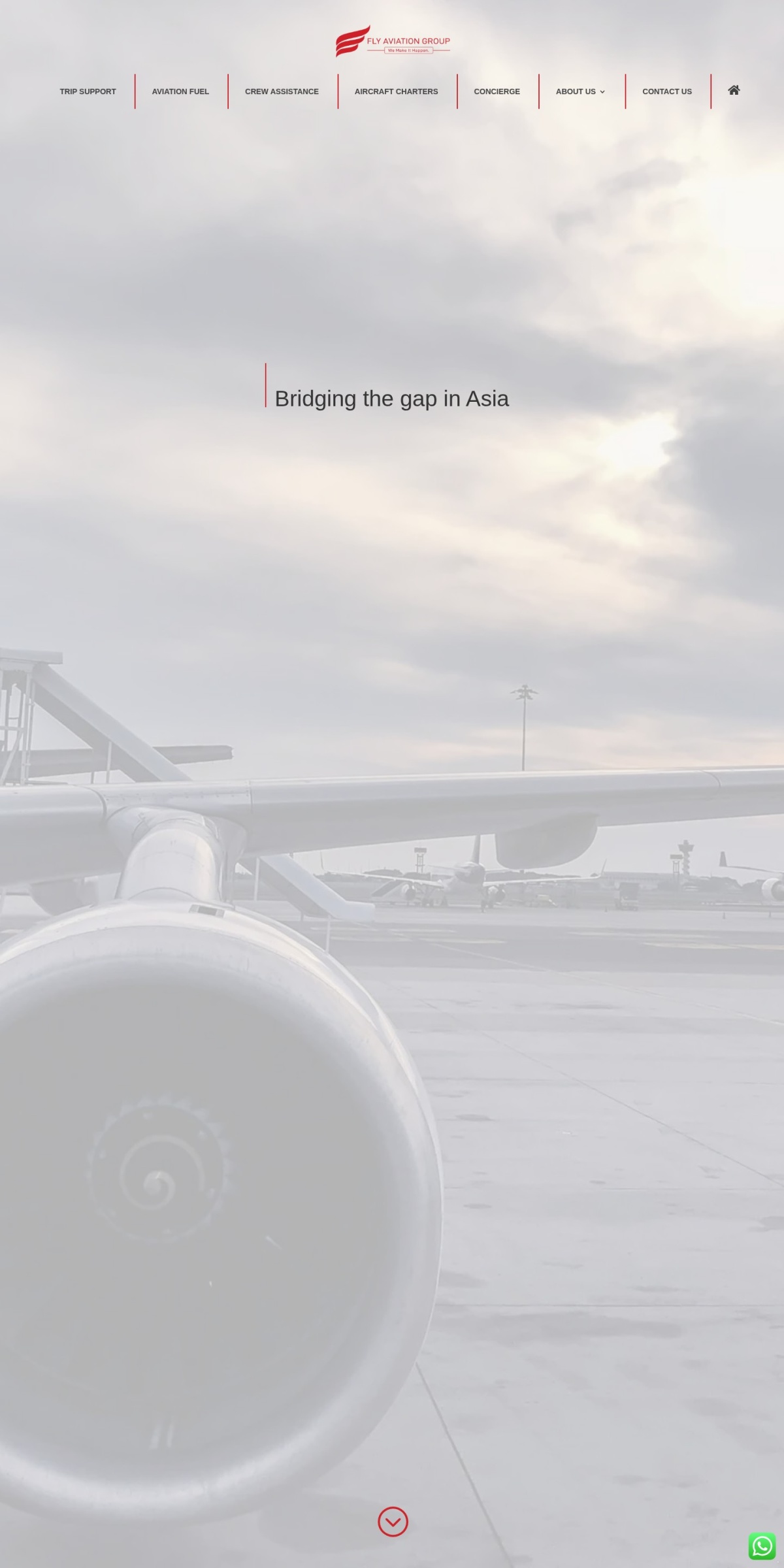 Fly Aviation website screenshot